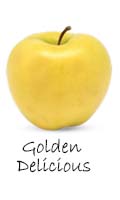 Golden delicious apple 