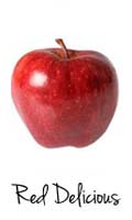 red delicious apple 