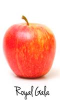 royal-gala apple 
