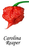 the Carolina Reaper Chili Pepper