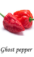 Ghost pepper