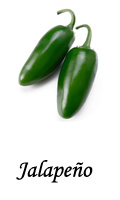 Jalapeño Chili